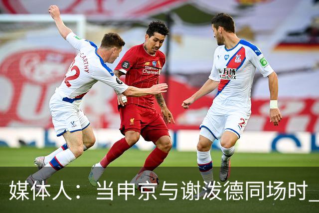 媒体人：当申京与谢泼德同场时 火箭的挡拆防守会被对手无情摧毁